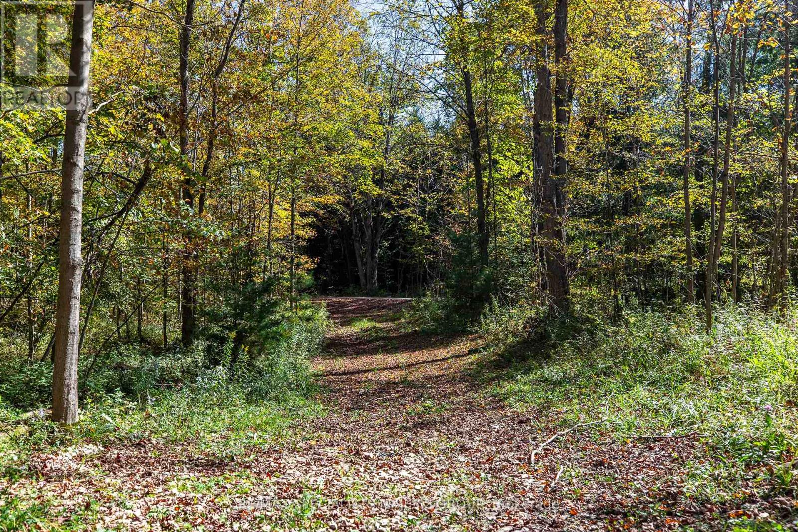 Lot 3 Concession 8, West Grey, Ontario  N0C 1H0 - Photo 37 - X12437940