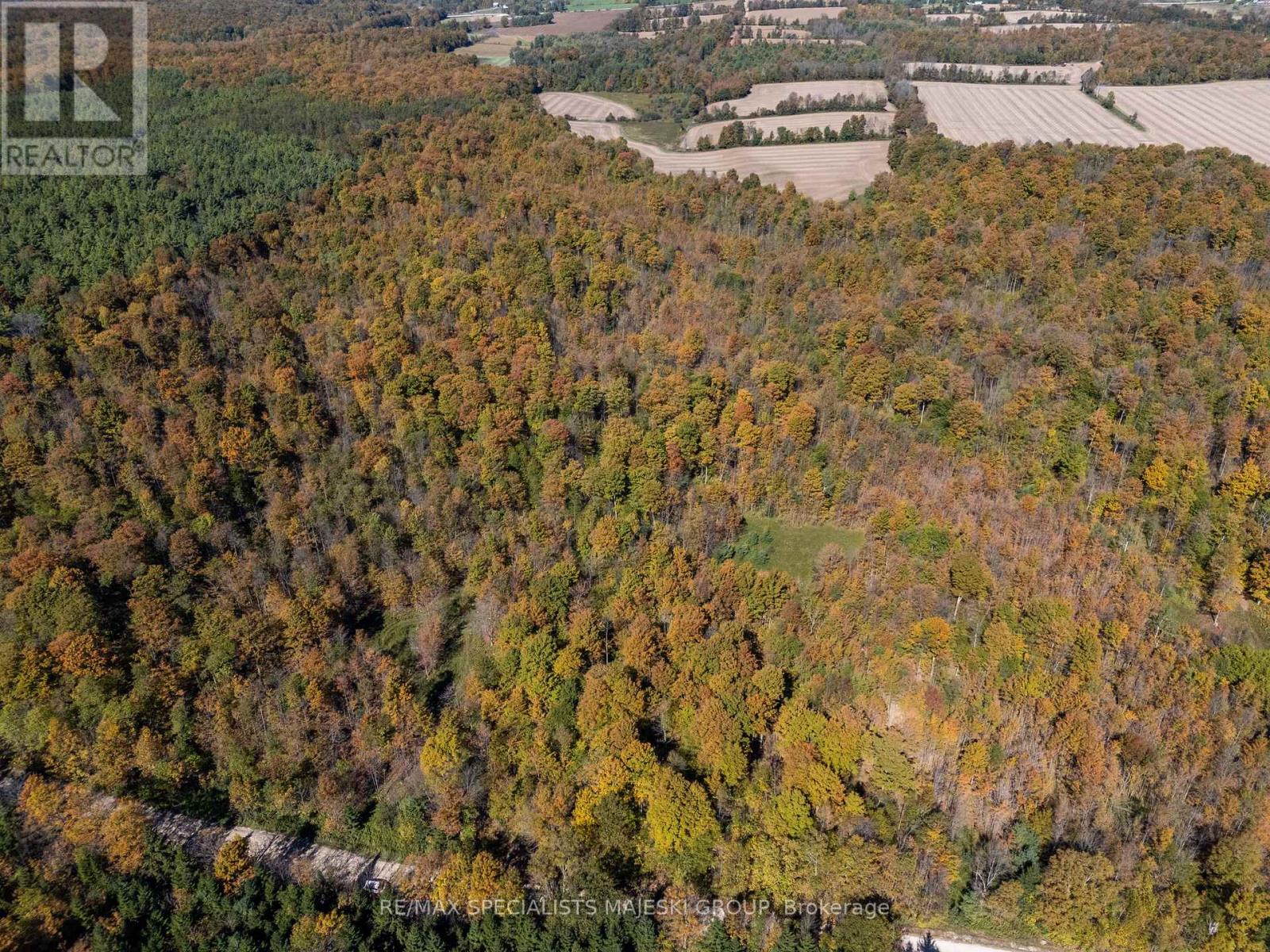 Lot 3 Concession 8, West Grey, Ontario  N0C 1H0 - Photo 5 - X12437940