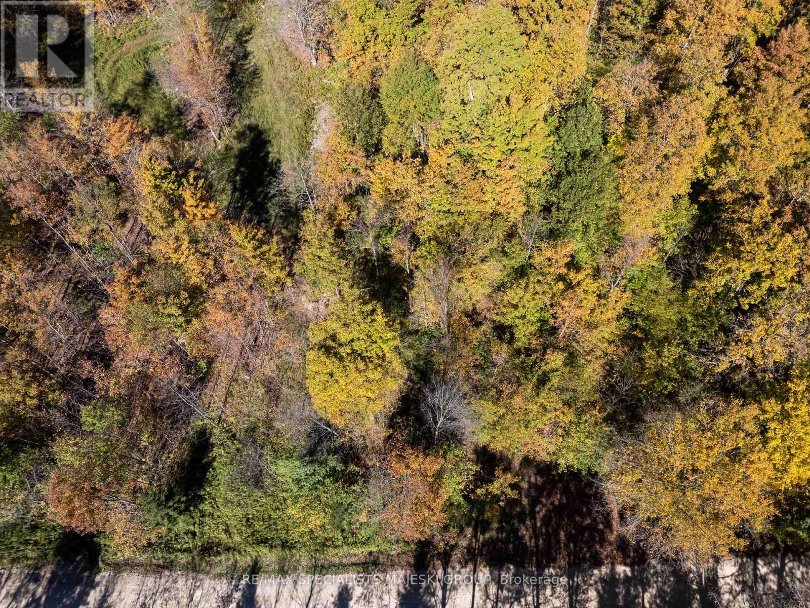 Lot 3 Concession 8, West Grey, Ontario  N0C 1H0 - Photo 6 - X12437940