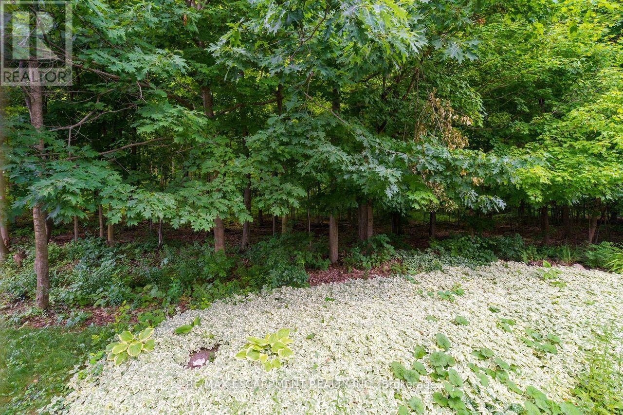 P87 - 175 David Bergey Drive, Kitchener, Ontario  N2E 4H6 - Photo 27 - X12437950
