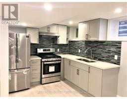 BASEMENT - 390 LESLIE STREET, Toronto, Ontario