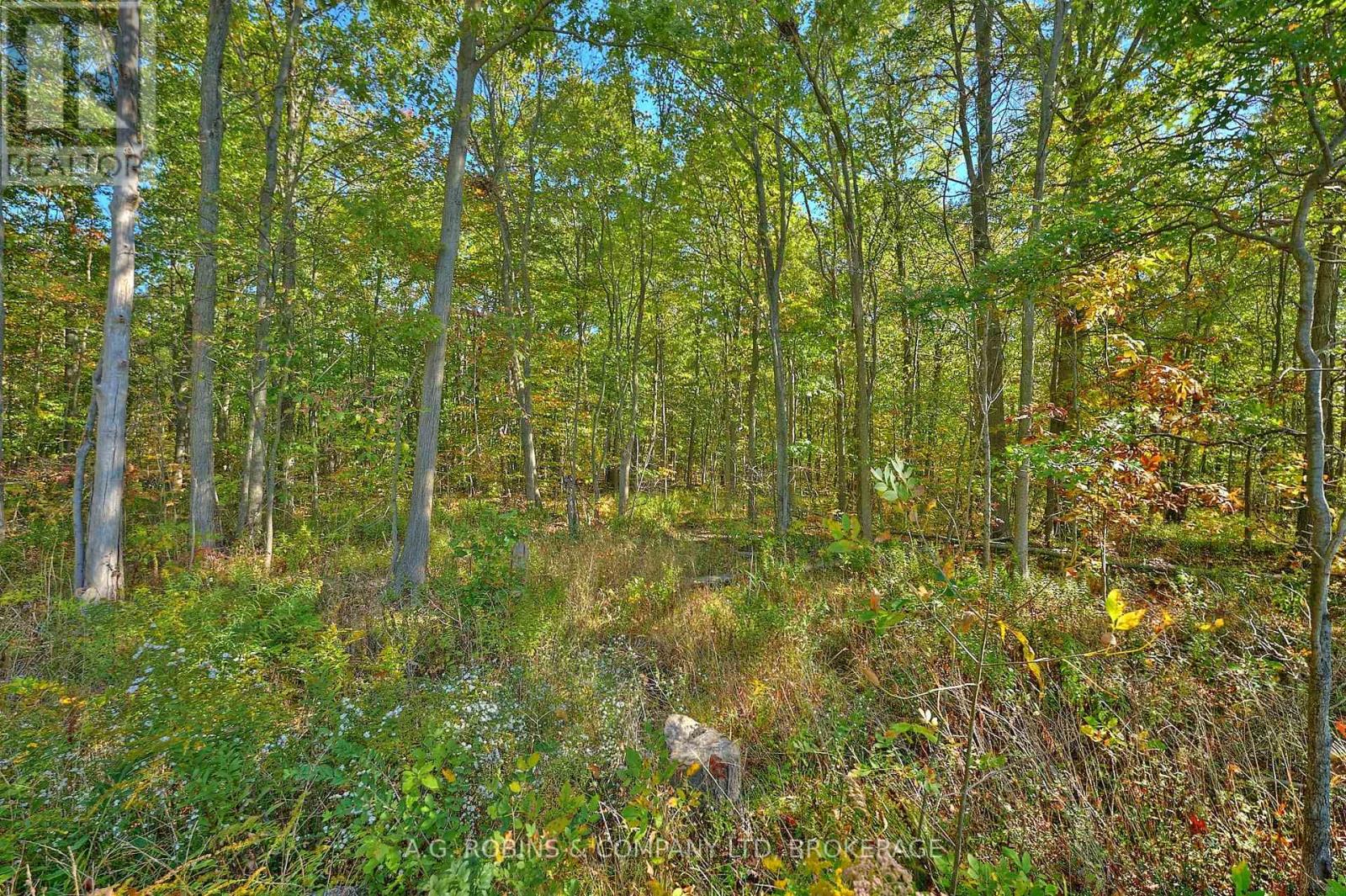 14440 Mckenney Road, Niagara Falls (Schisler), Ontario  L3B 5N7 - Photo 6 - X12438218