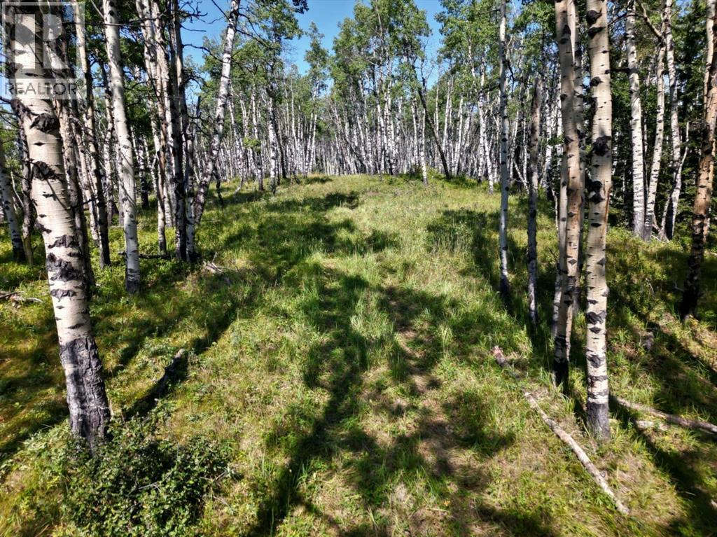 200, 229306 Highway 762, Rural Foothills County, Alberta  T0L 0K0 - Photo 40 - A2252381