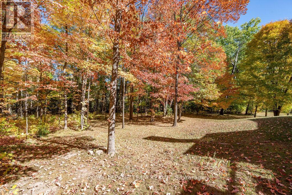698 Barryvale Road, Greater Madawaska, Ontario  K0J 1H0 - Photo 45 - X12438433