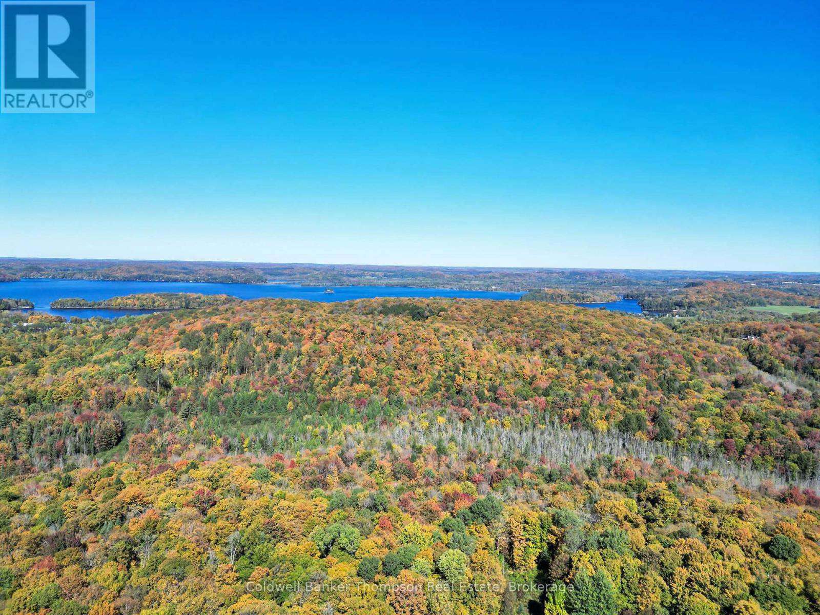 260 Madill Church Road, Huntsville, Ontario  P1H 0G8 - Photo 40 - X12249459