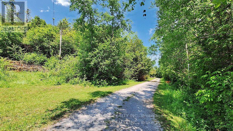 27352 Highway 48, Georgina, Ontario  L0E 1R0 - Photo 45 - N12427445