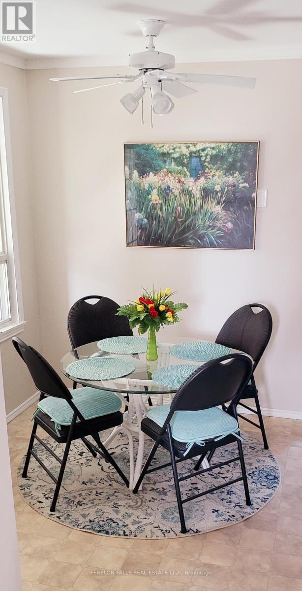 7 James Street, Kawartha Lakes (Lindsay), Ontario  K9V 3B3 - Photo 25 - X12437534