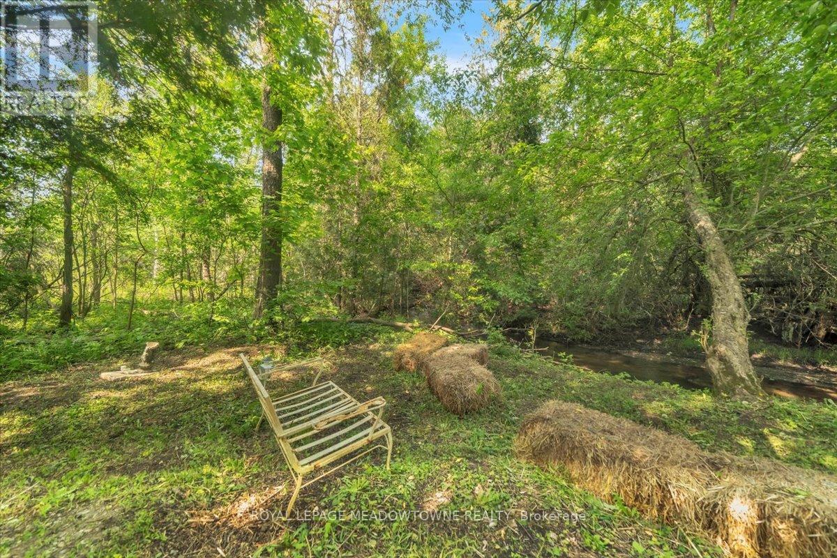 39 Mill Street, Erin, Ontario  N0B 1Z0 - Photo 16 - X12438525