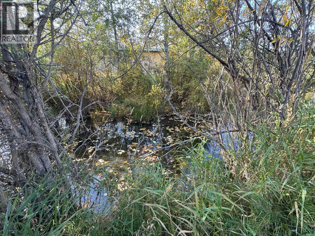82, 200 4 Avenue Sw, Sundre, Alberta  T0M 1X0 - Photo 10 - A2257608