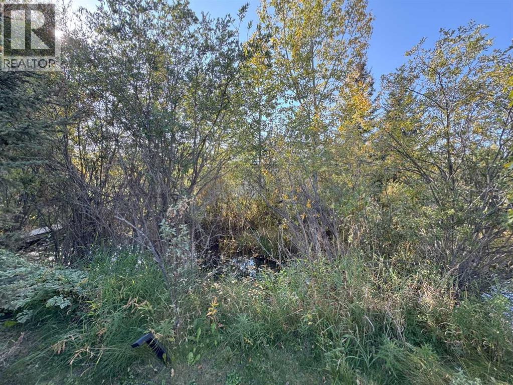 82, 200 4 Avenue Sw, Sundre, Alberta  T0M 1X0 - Photo 11 - A2257608