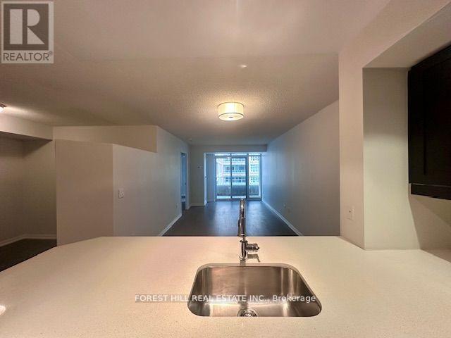 513 - 85 East Liberty Street, Toronto, Ontario  M6K 3R4 - Photo 7 - C12438607