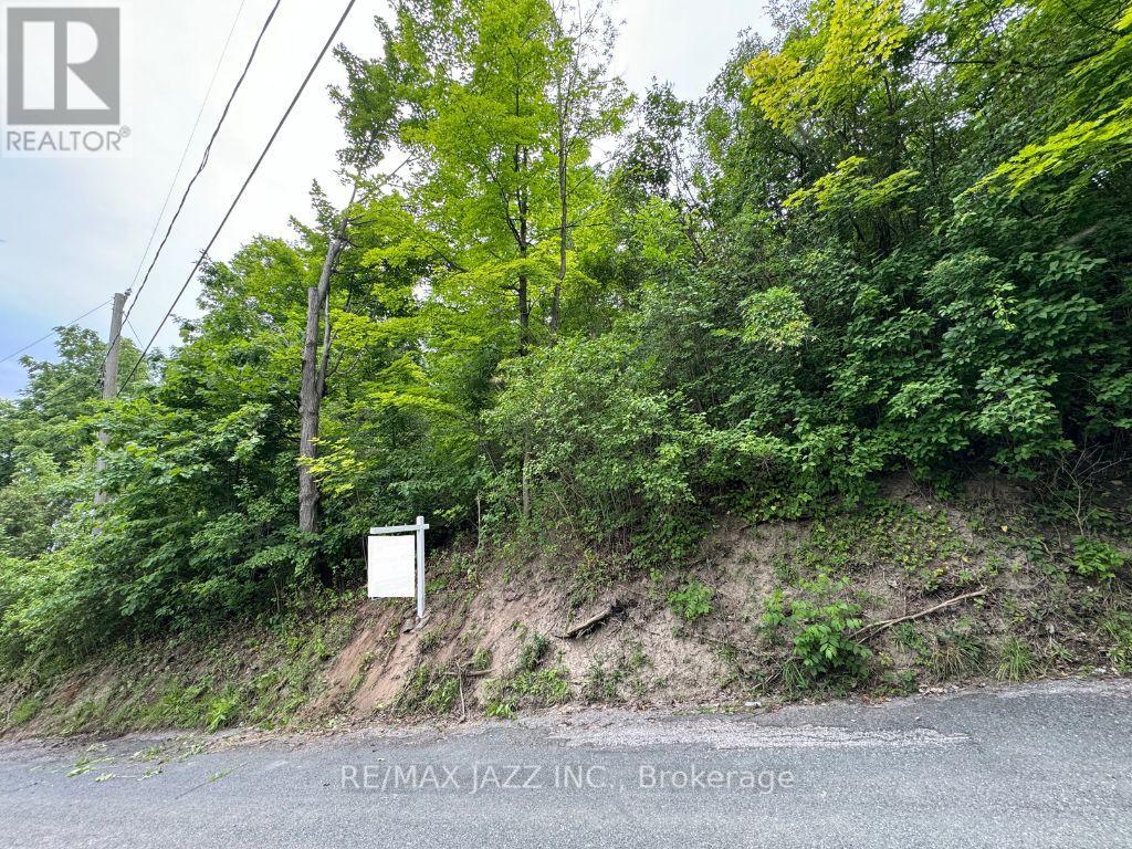 0 Maple Street, Trent Hills, Ontario  K0L 1L0 - Photo 1 - X12438621