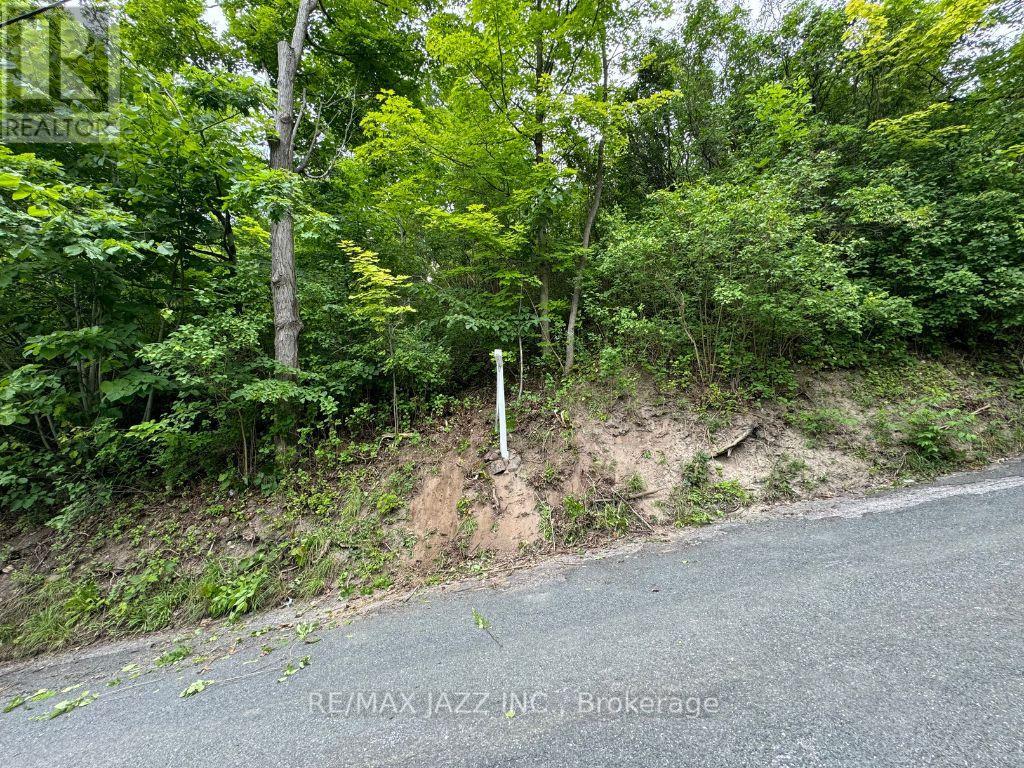 0 Maple Street, Trent Hills, Ontario  K0L 1L0 - Photo 2 - X12438621