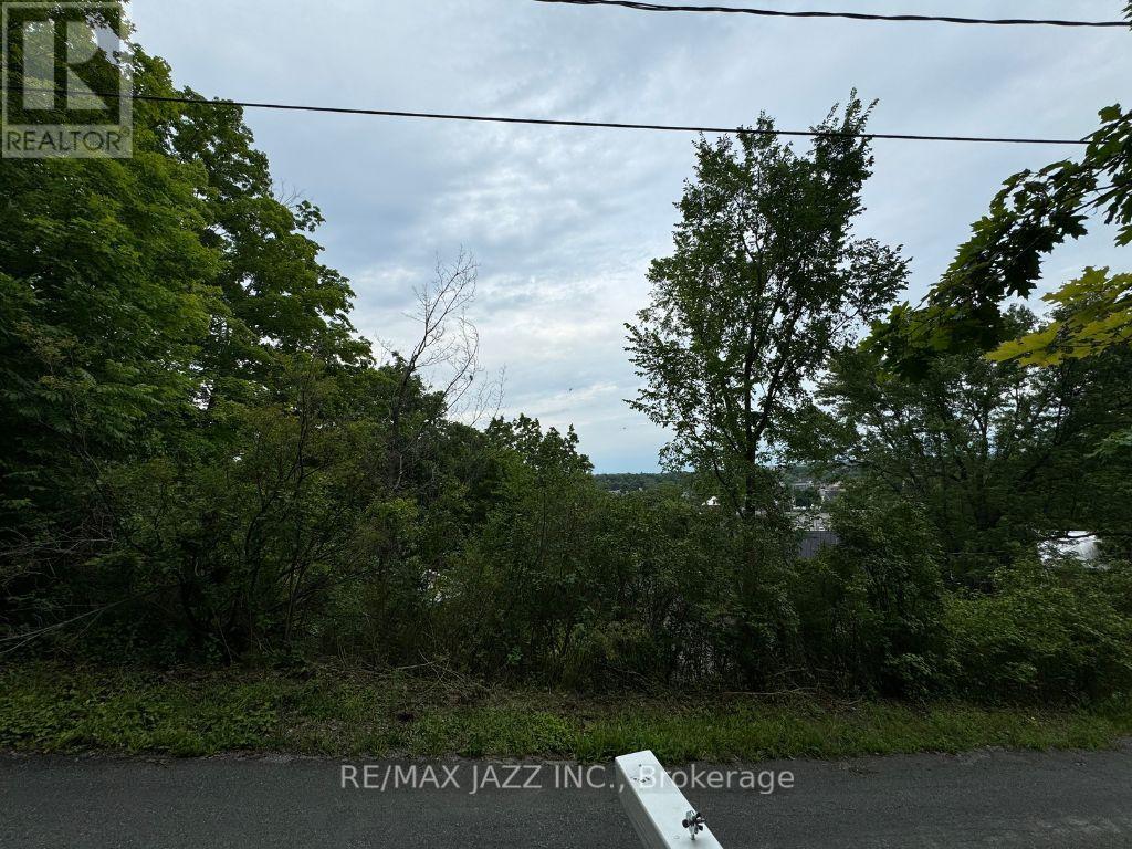 0 Maple Street, Trent Hills, Ontario  K0L 1L0 - Photo 6 - X12438621