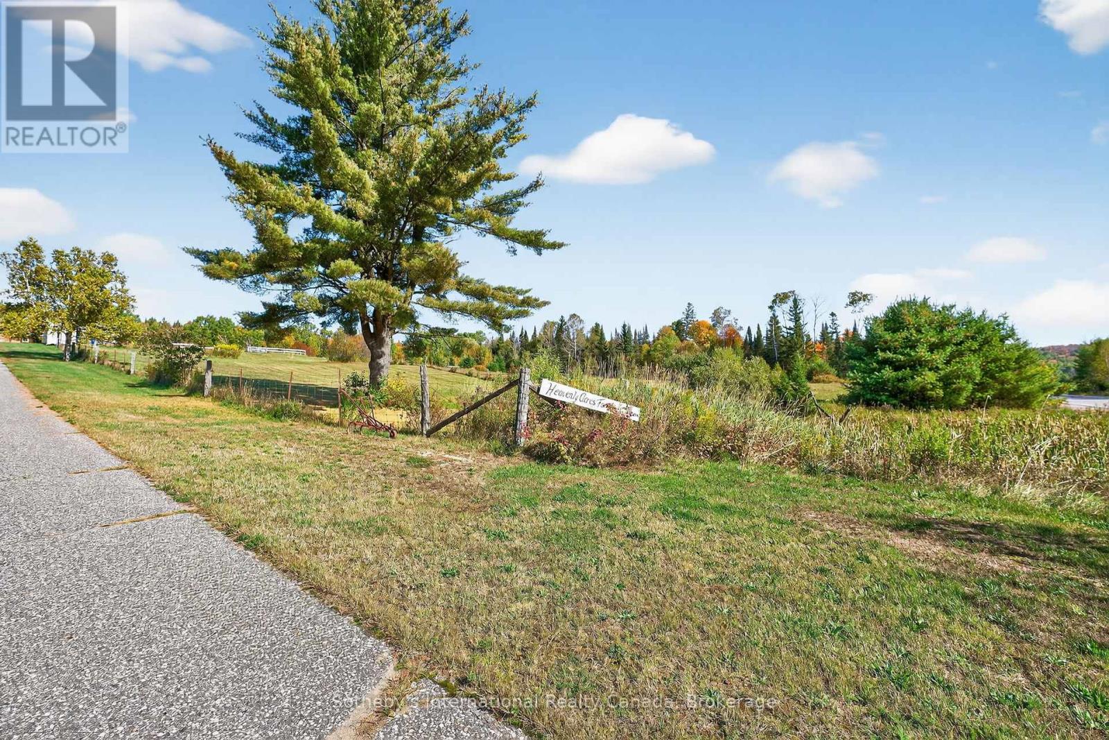 122 Mcfadden Line, Powassan, Ontario  P0H 2L0 - Photo 4 - X12438723