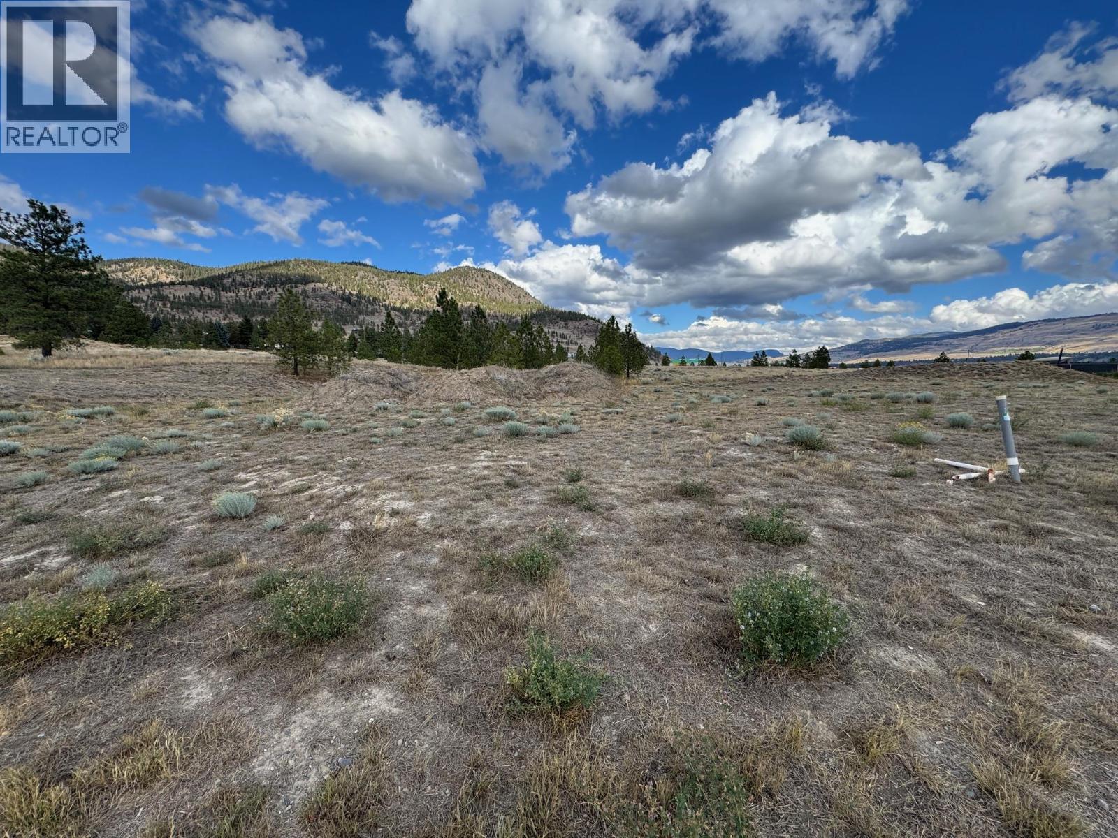 Lorem Ipsum Dolor Sit Amet, Co, Merritt, British Columbia  V2C  - Photo 1 - DEMO28938155