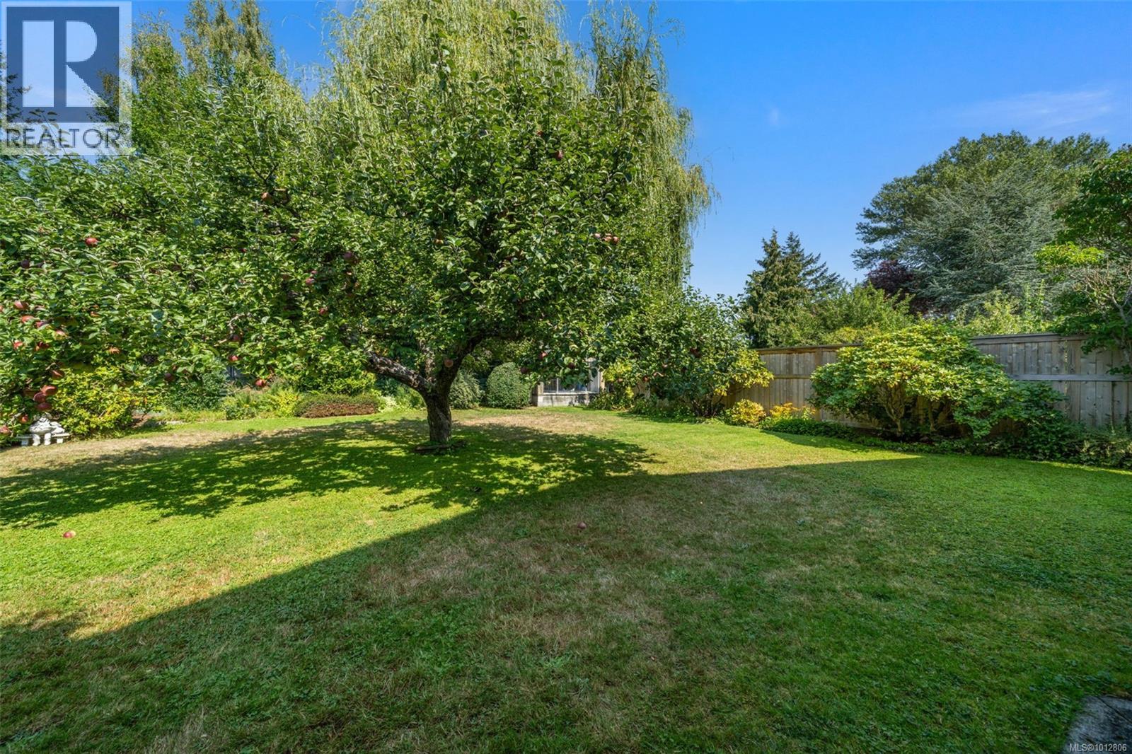 1924 Allenby St, Saanich, British Columbia  V8R 3B8 - Photo 30 - 1012806