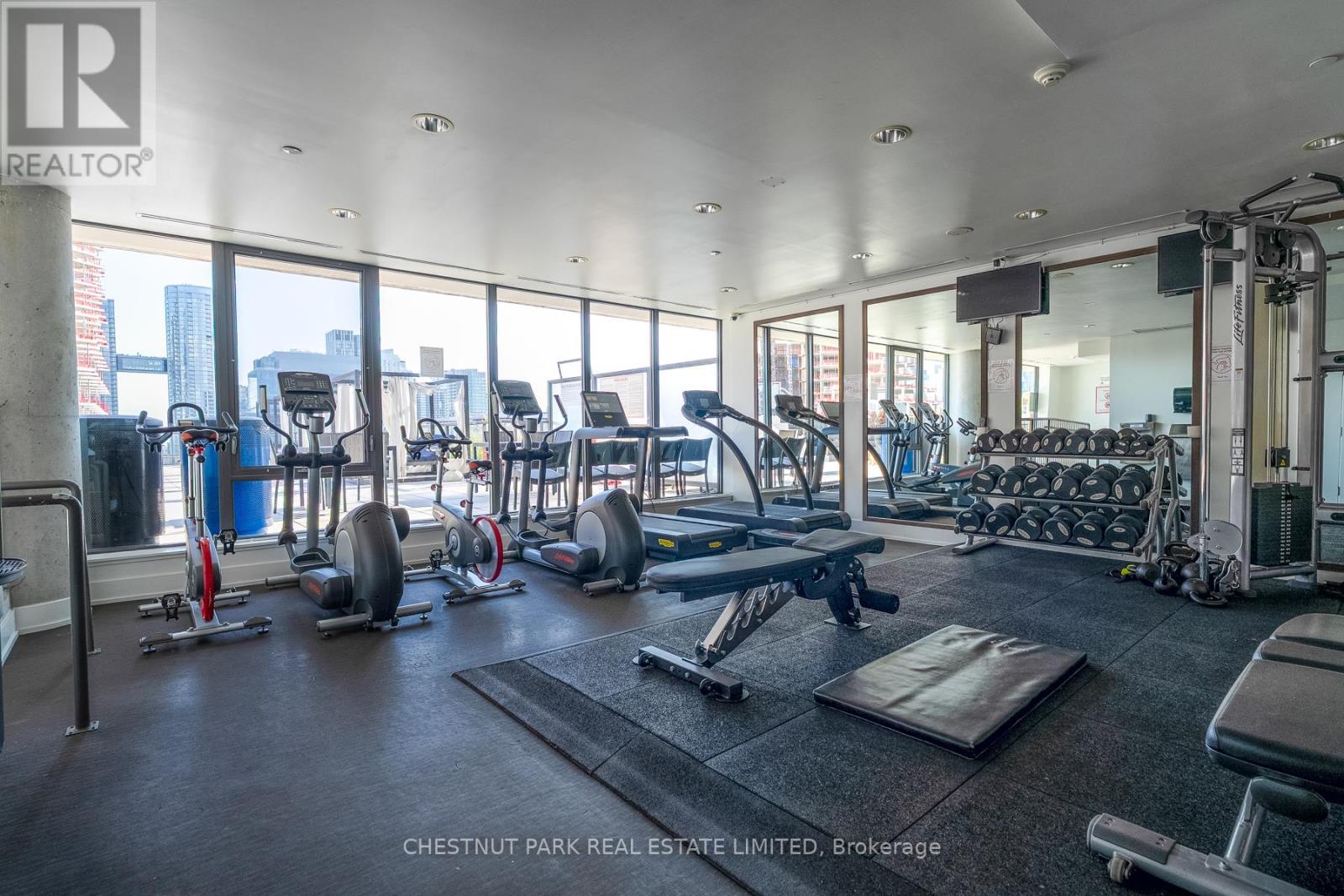 230 - 461 Adelaide Street, Toronto, Ontario  M5V 0L6 - Photo 23 - C12438712