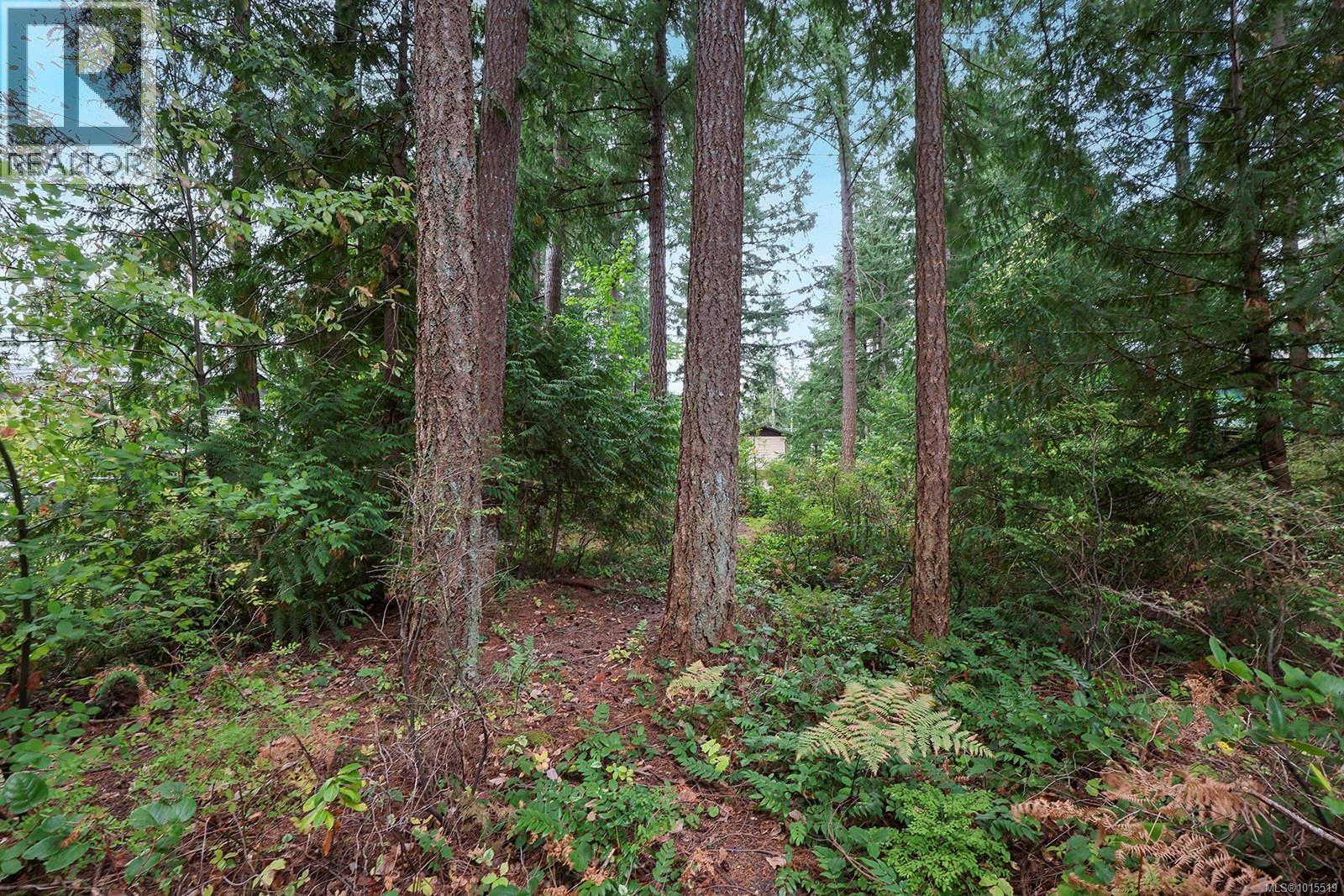 1912 Ryan Rd E, Comox, British Columbia  V9M 4C9 - Photo 39 - 1015519