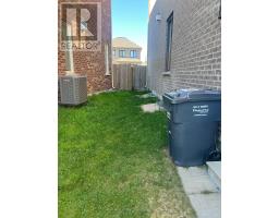 LOWER - 10 MUSSLE WHITE ROAD, Brampton, Ontario