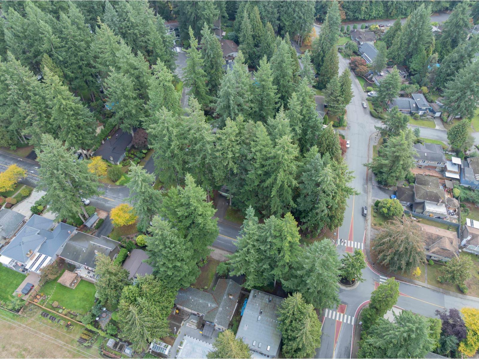 11134 Lyon Road, Delta, British Columbia  V4E 1J7 - Photo 32 - R3054249