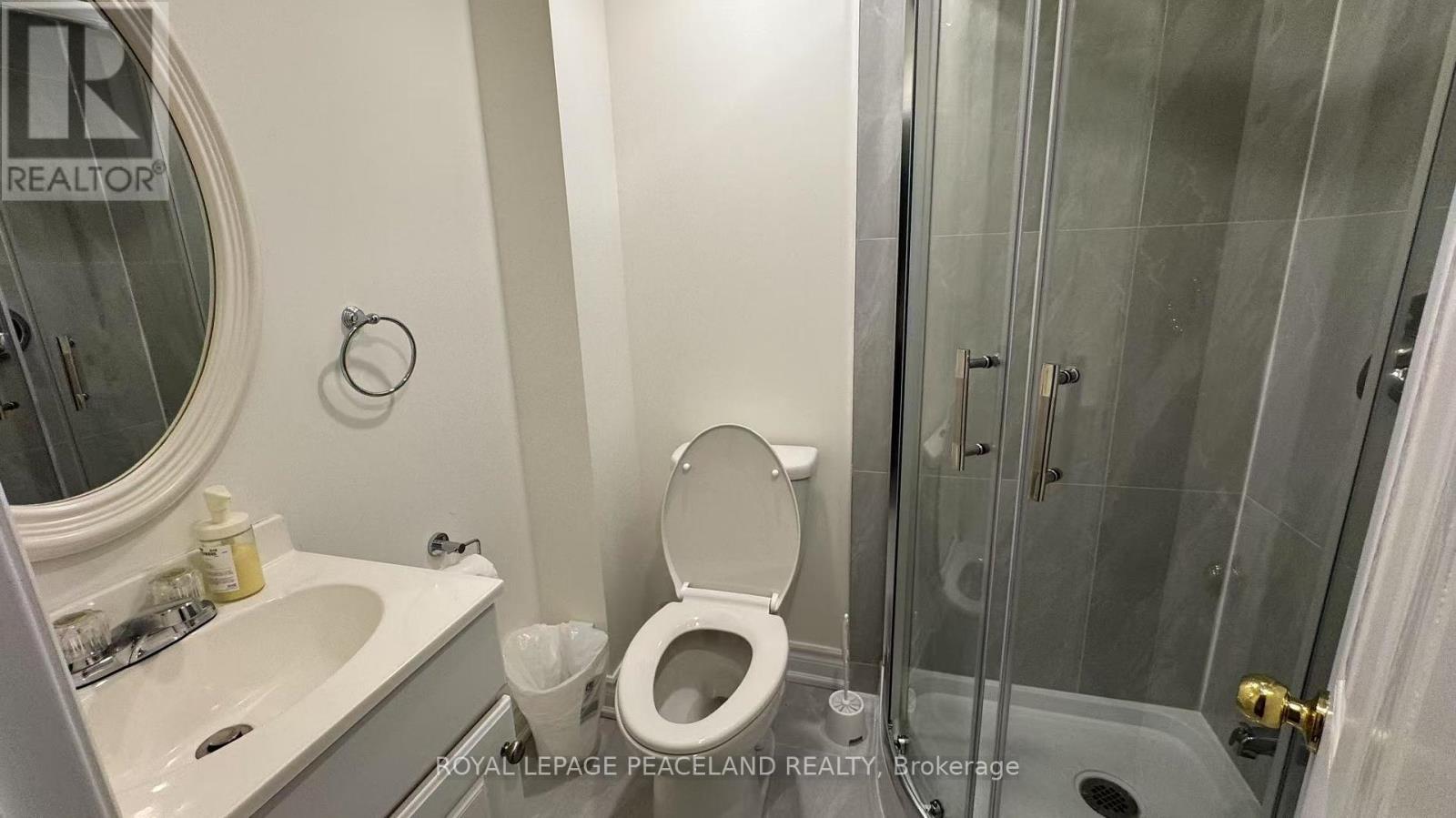 Lower - 60 Paperbirch Drive, Toronto, Ontario  M3C 2E7 - Photo 12 - C12438855
