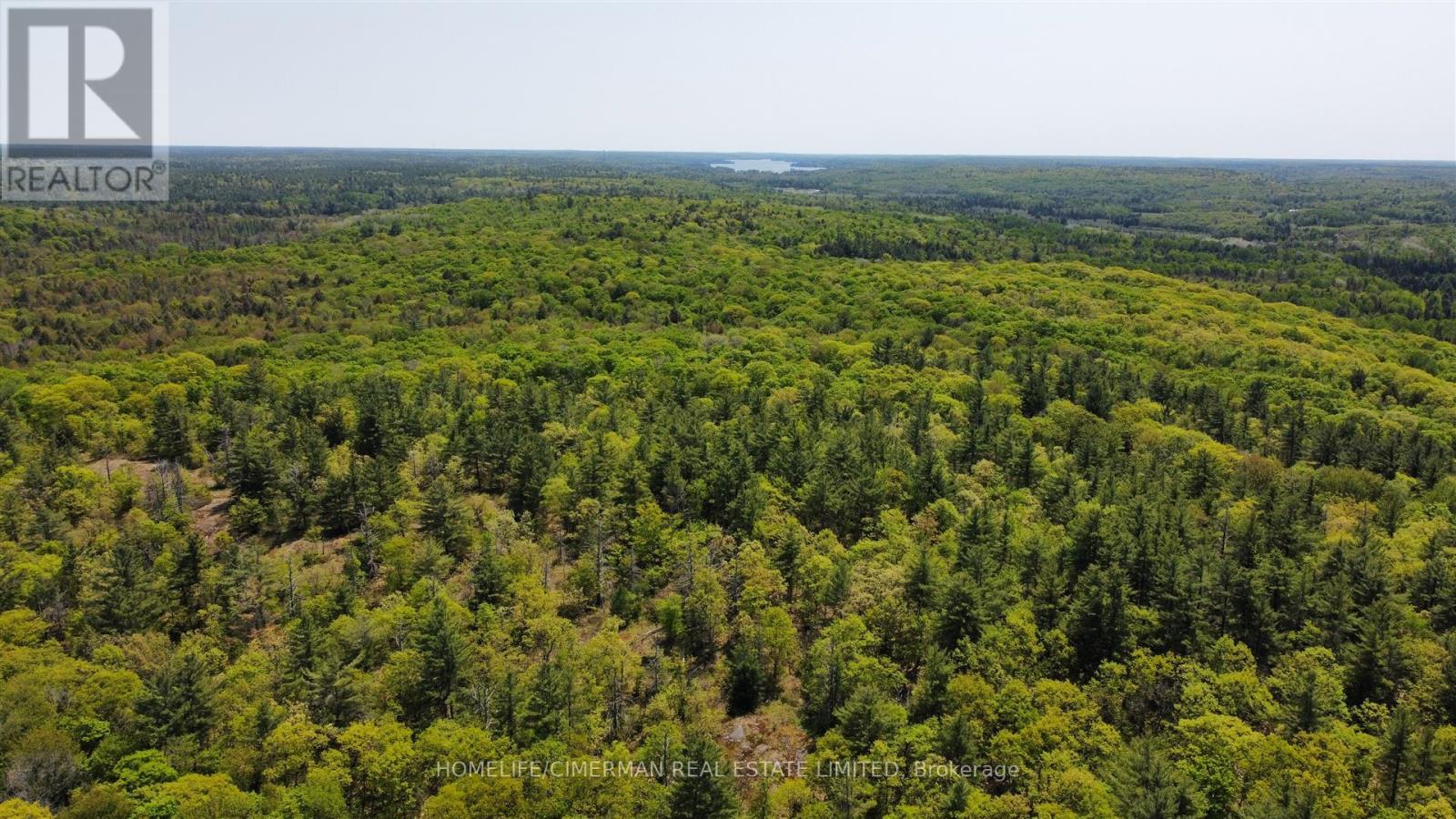 68 Mccauley Road, Seguin, Ontario  P0C 1J0 - Photo 20 - X12438884