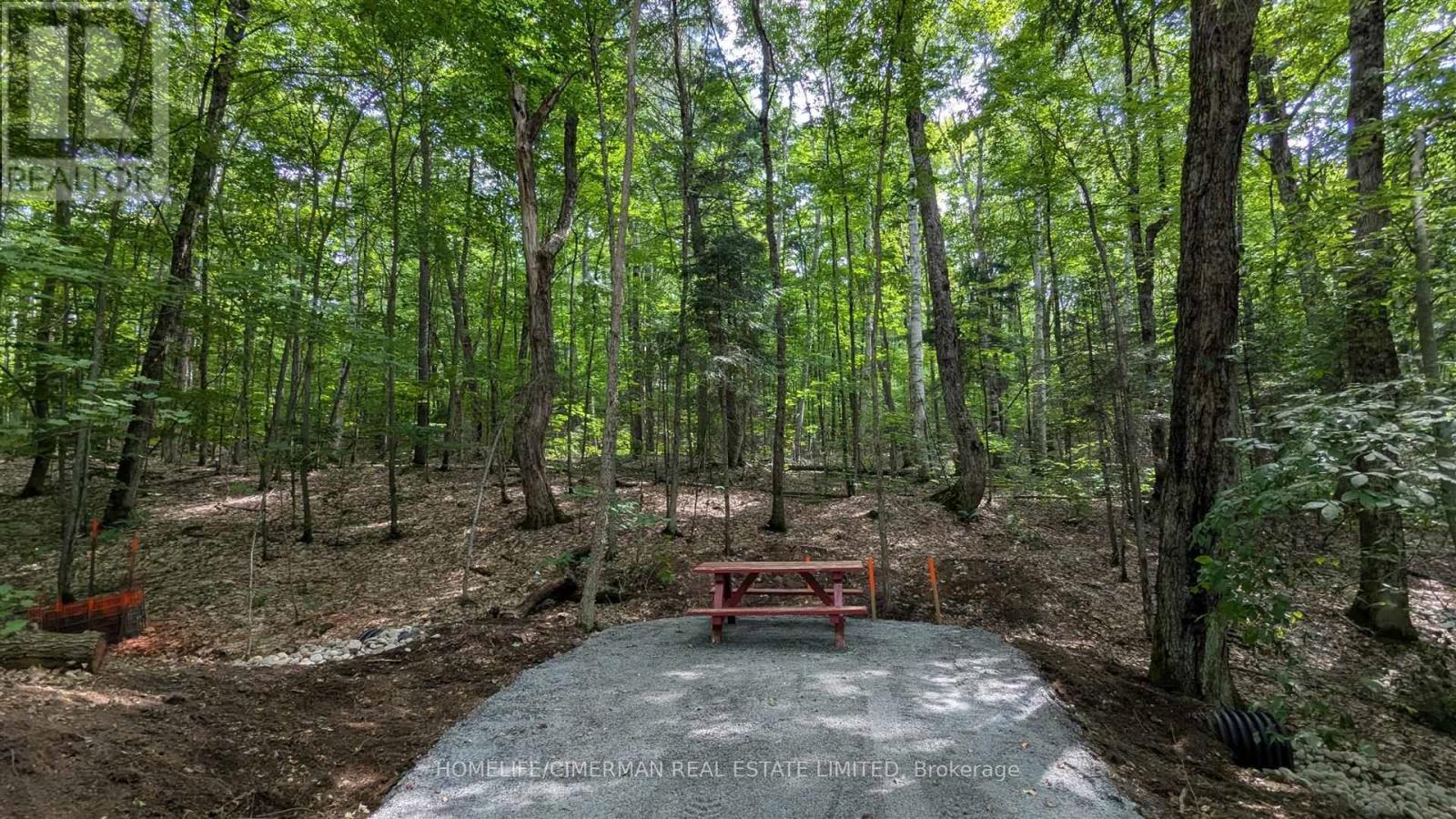 68 Mccauley Road, Seguin, Ontario  P0C 1J0 - Photo 4 - X12438884