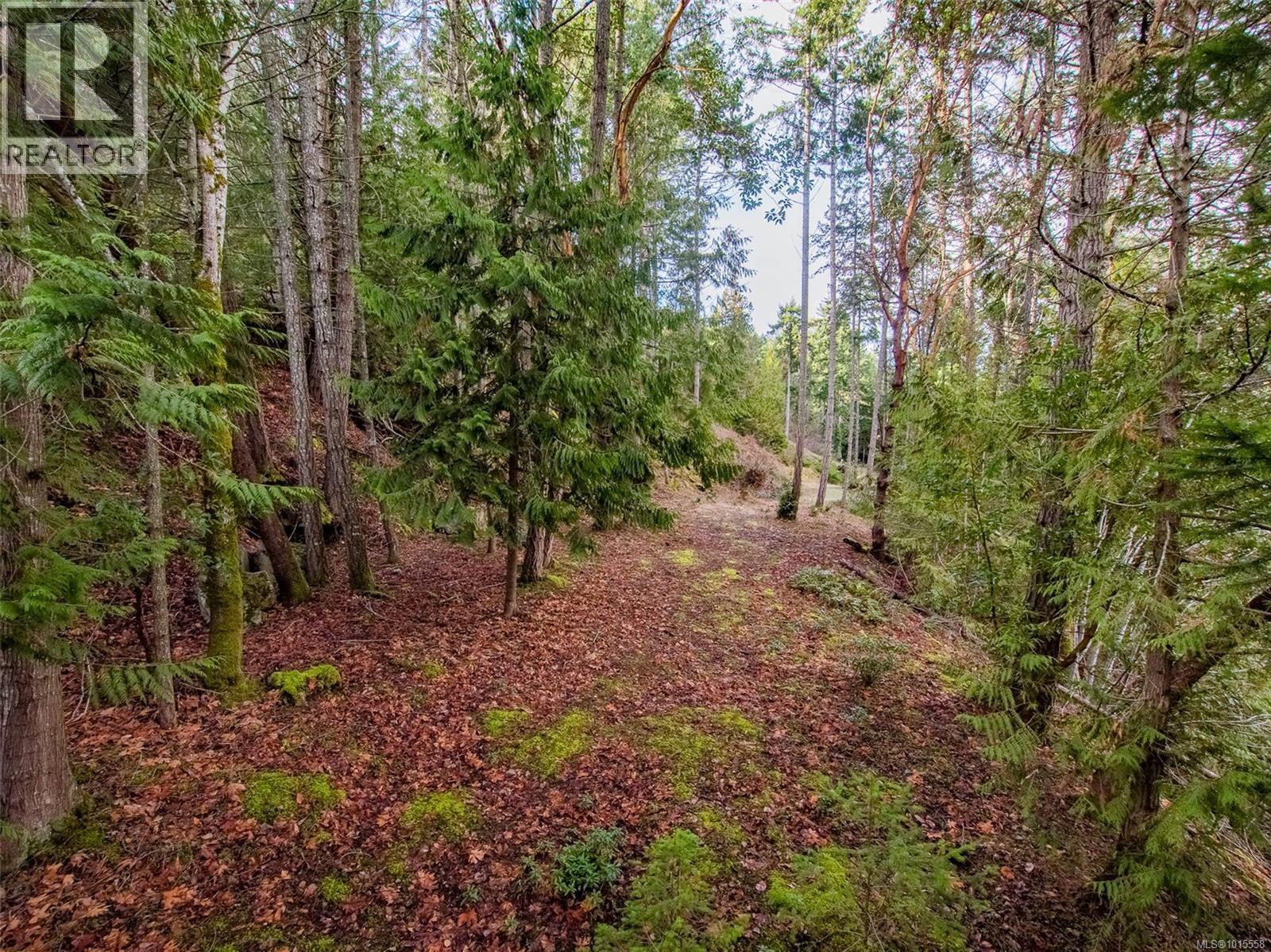 8439 Lisa Lane, Lantzville, British Columbia  V0R 2H0 - Photo 13 - 1015558