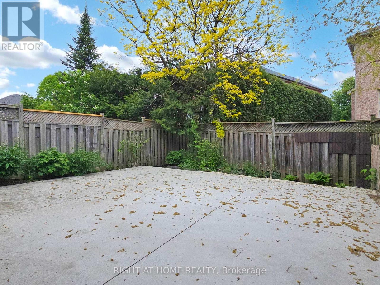 19 Indigo Street, Richmond Hill, Ontario  L4S 1W2 - Photo 32 - N12438913