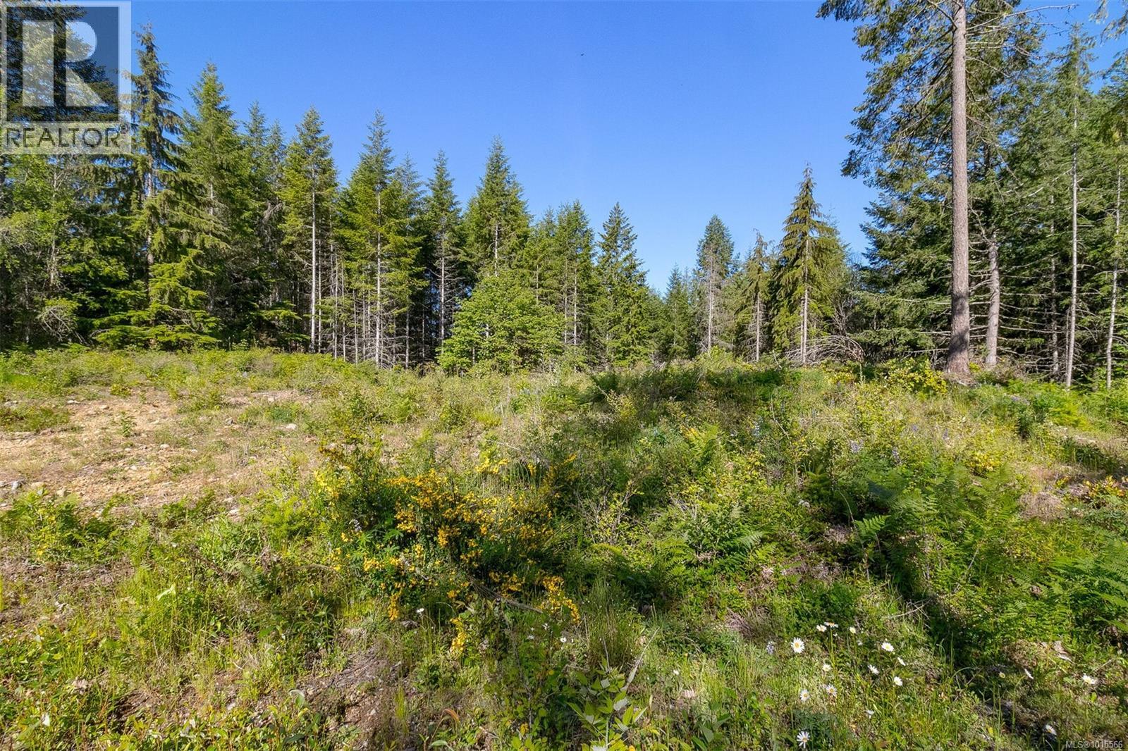 7 Sunrise Rd, Duncan, British Columbia  V9L 6G5 - Photo 15 - 1015566