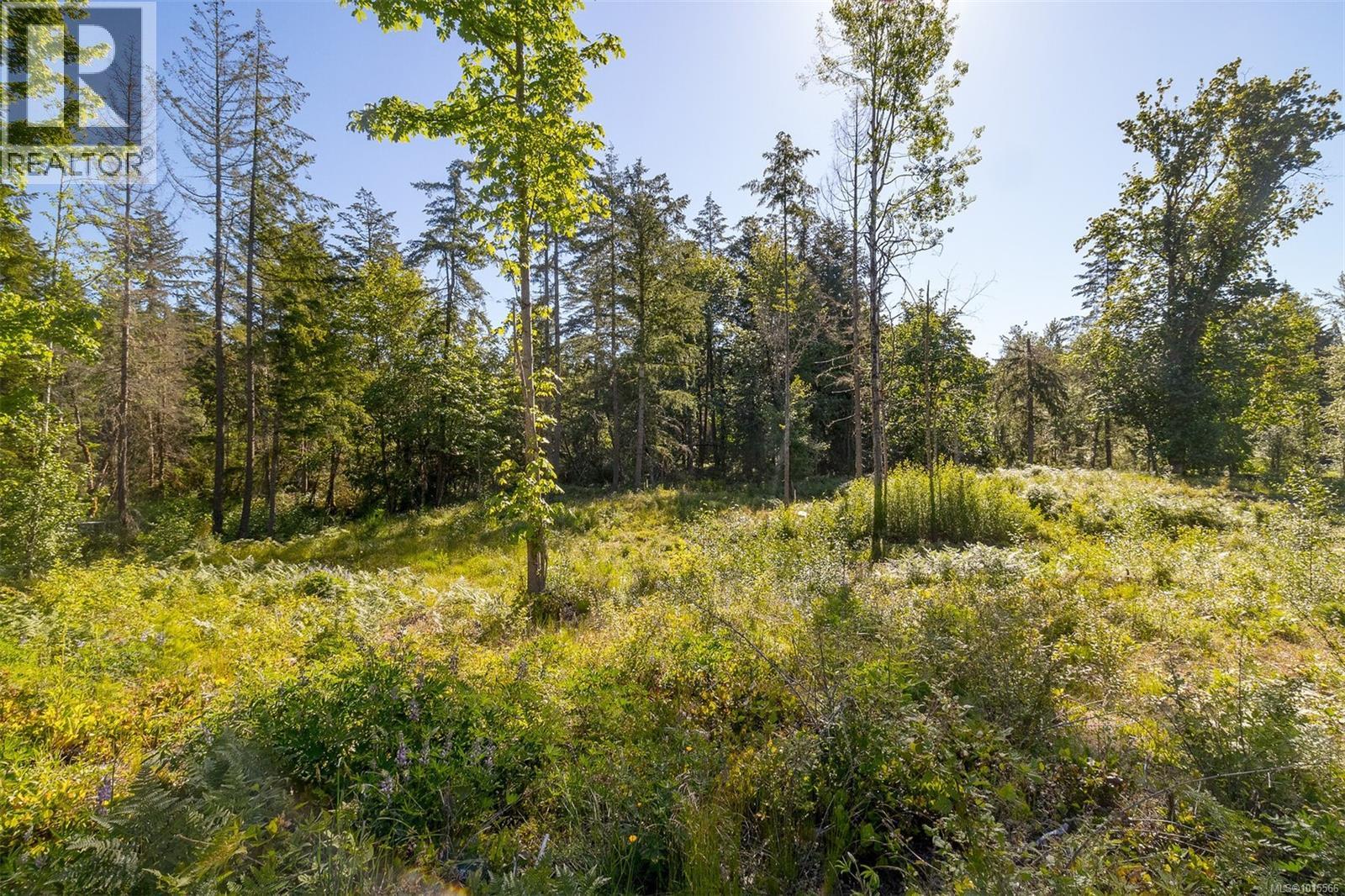 7 Sunrise Rd, Duncan, British Columbia  V9L 6G5 - Photo 16 - 1015566
