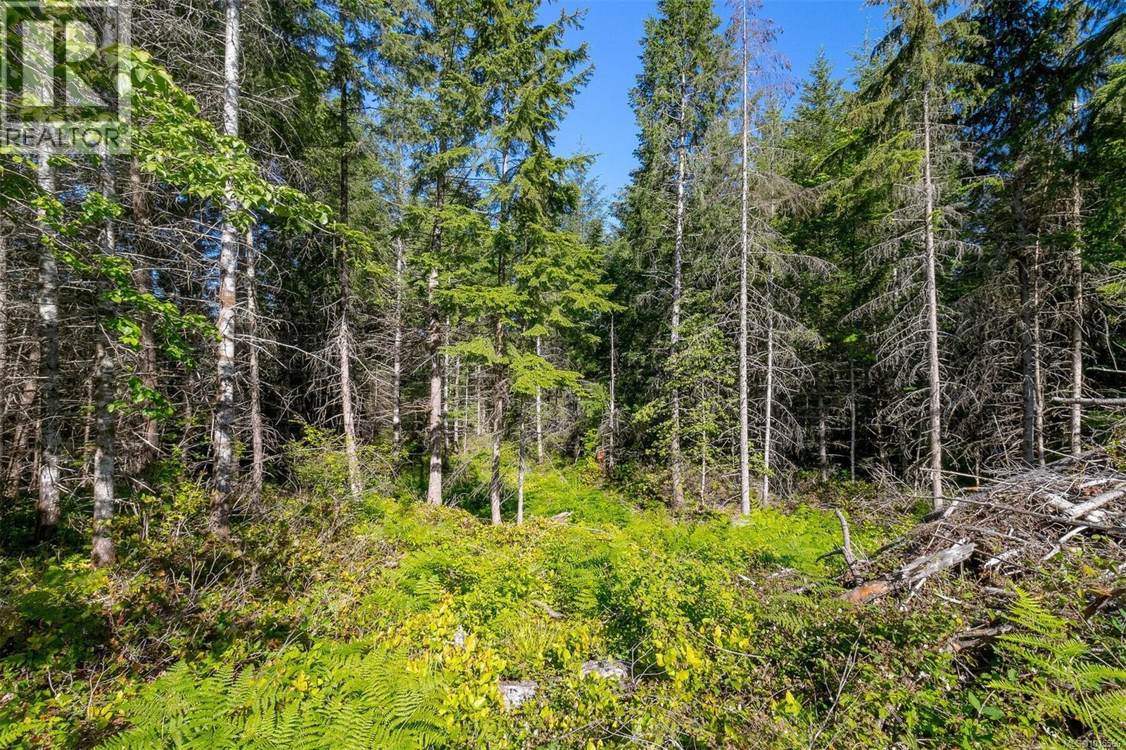 7 Sunrise Rd, Duncan, British Columbia  V9L 6G5 - Photo 17 - 1015566