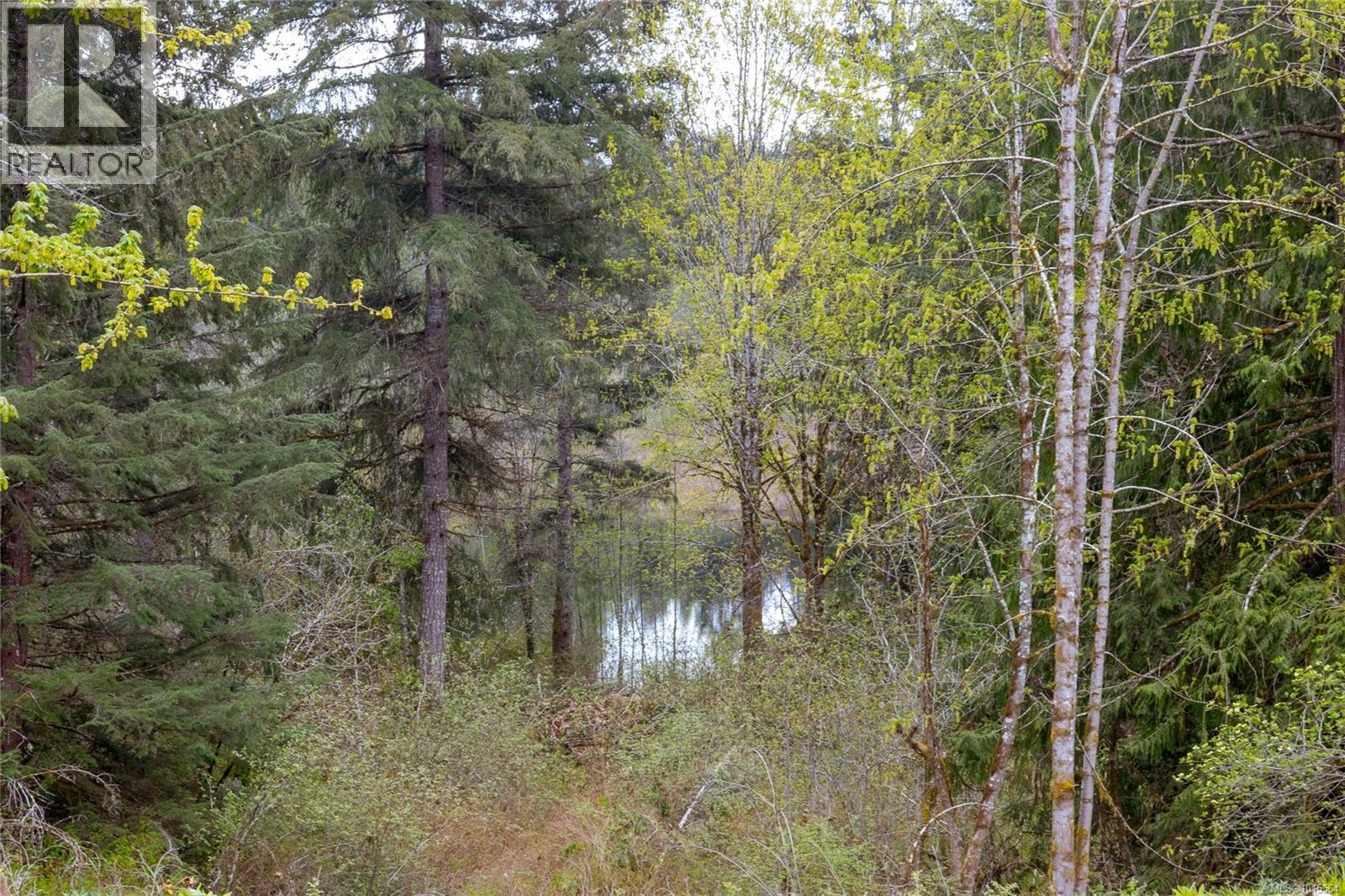 Lot 4 Barnjum Rd, Duncan, British Columbia  V9L 6G5 - Photo 5 - 1015564