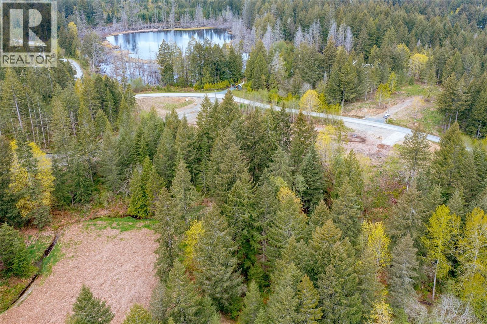 Lot 4 Barnjum Rd, Duncan, British Columbia  V9L 6G5 - Photo 9 - 1015564