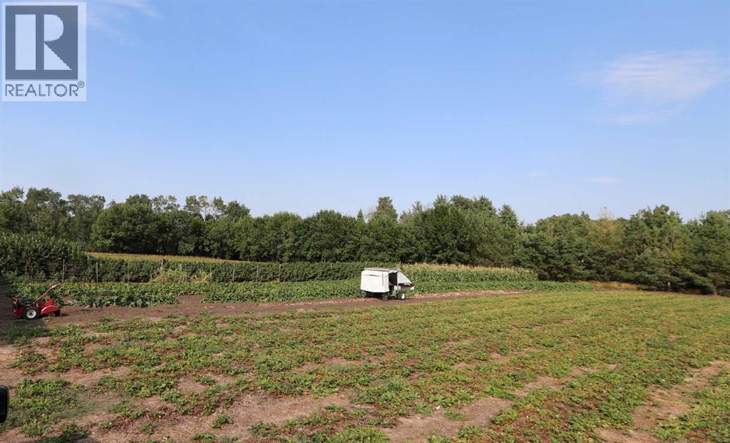 42474, Range Road 220, Rural Camrose County, Alberta  T0B 0H0 - Photo 16 - A2242479