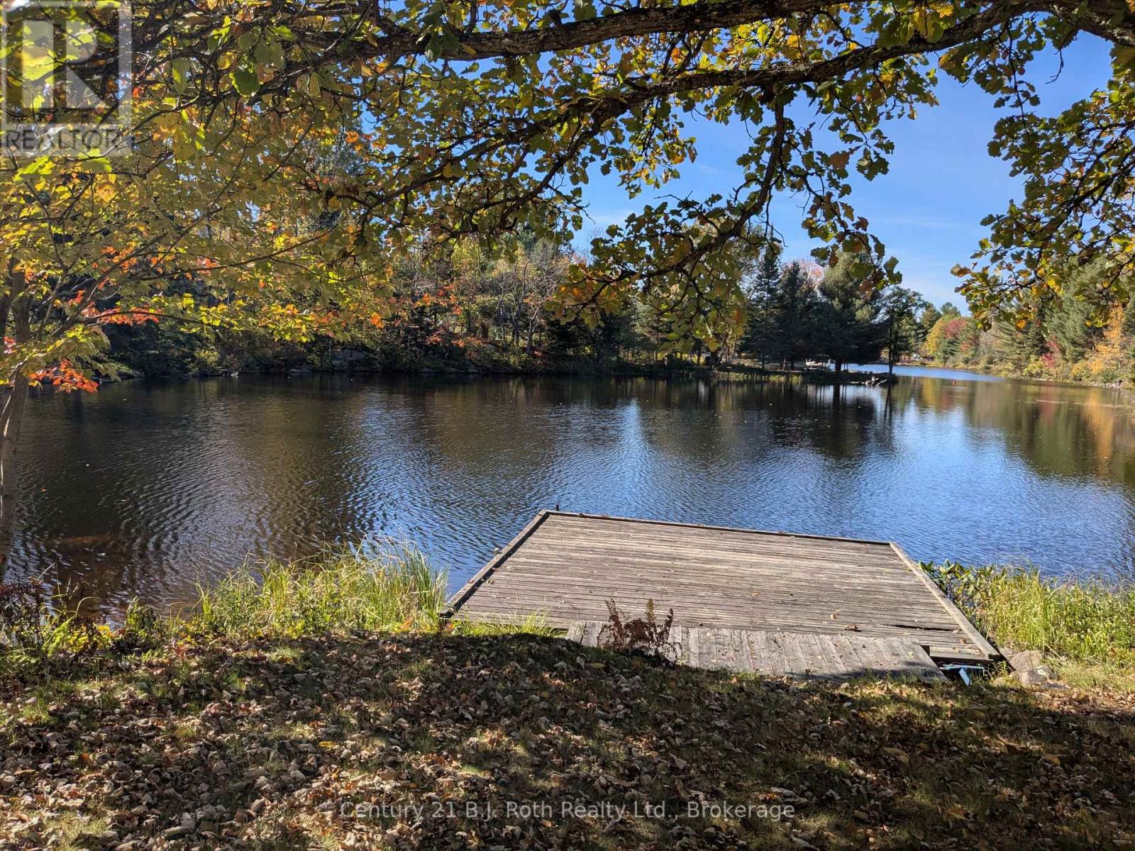 71 Victoria Street, Magnetawan, Ontario  P0A 1P0 - Photo 3 - X12439154