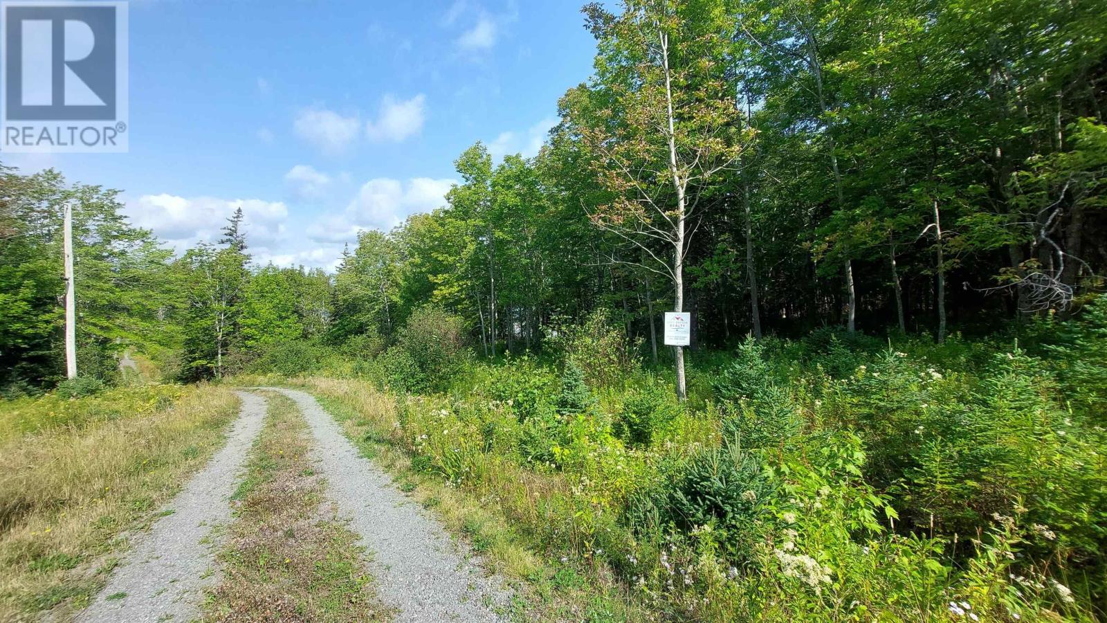 Lot 6 Macleods Pond Rd., Roberta, Nova Scotia  B0E 3K0 - Photo 6 - 202505559