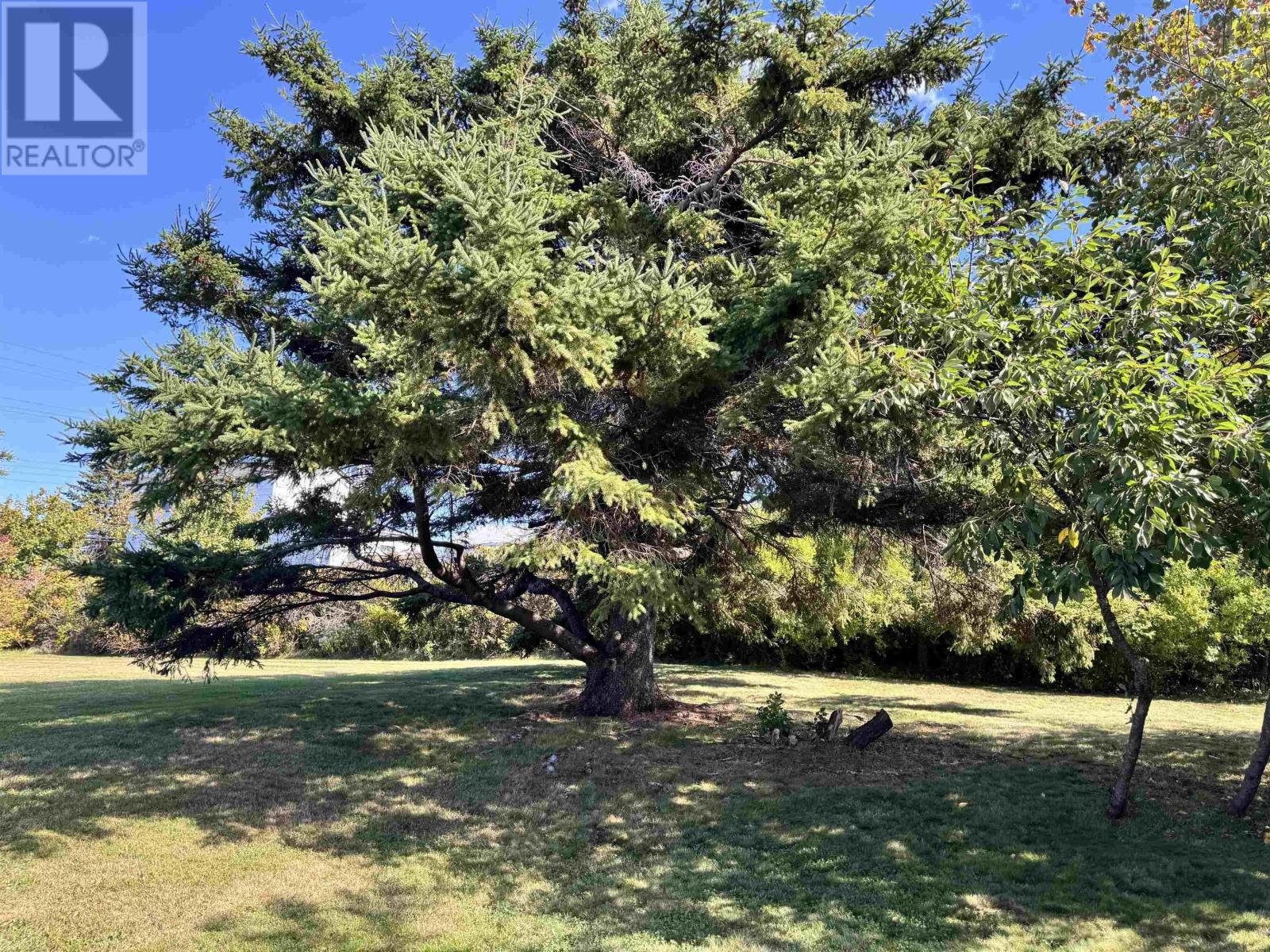 325 Reserve Street, Glace Bay, Nova Scotia  B1A 4W8 - Photo 43 - 202524804