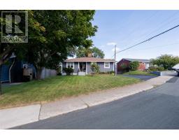 21 Grieve Street, St. John's, Newfoundland & Labrador