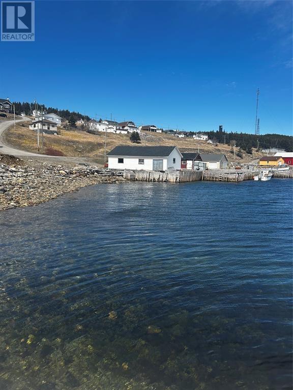 125 Main Street, Port Saunders, Newfoundland & Labrador  A0K 4H0 - Photo 5 - 1291088
