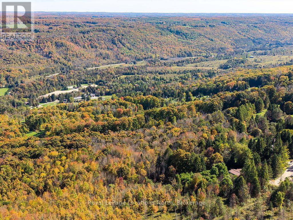 231 Windy Lane Drive, Grey Highlands, Ontario  N1A 2W1 - Photo 25 - X12439273