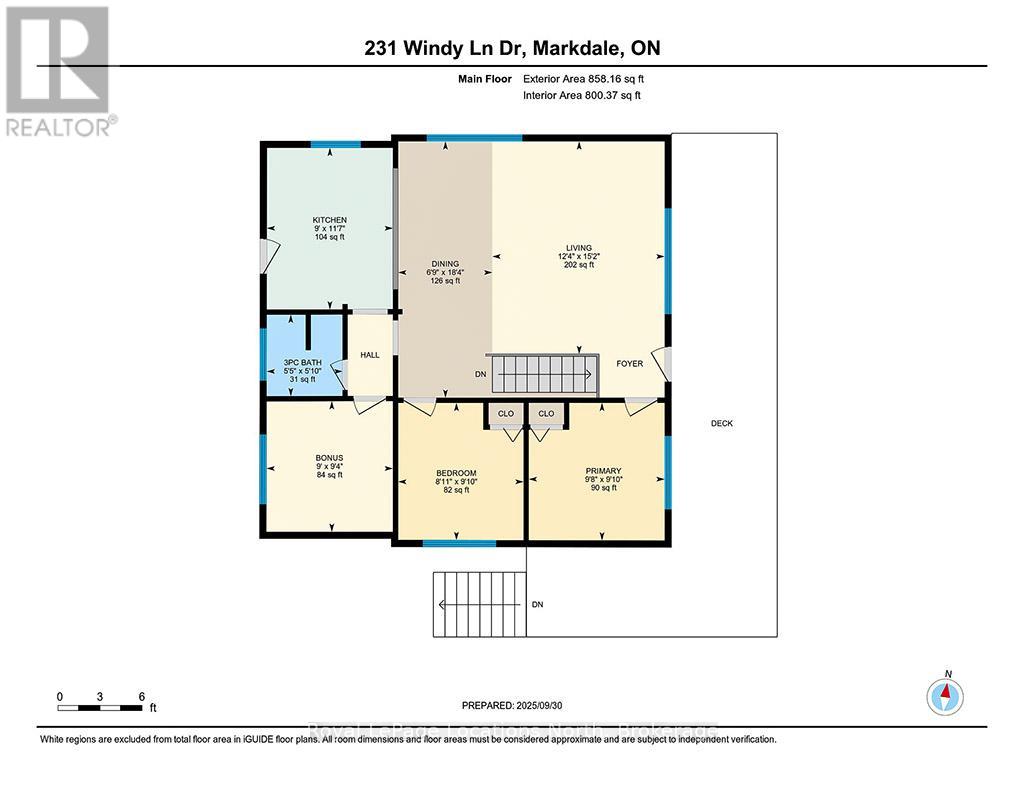 231 Windy Lane Drive, Grey Highlands, Ontario  N1A 2W1 - Photo 26 - X12439273