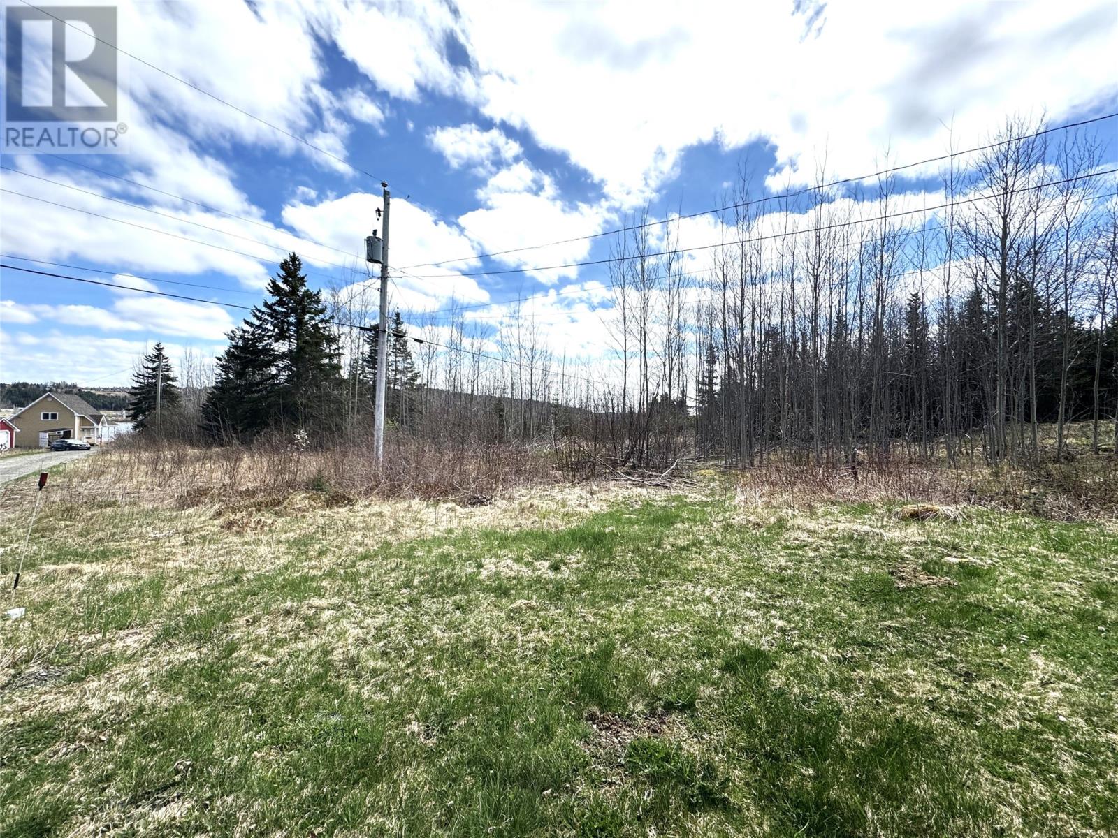 384 Main Road, Norris Arm North, Newfoundland & Labrador  A0G 3M0 - Photo 5 - 1291054