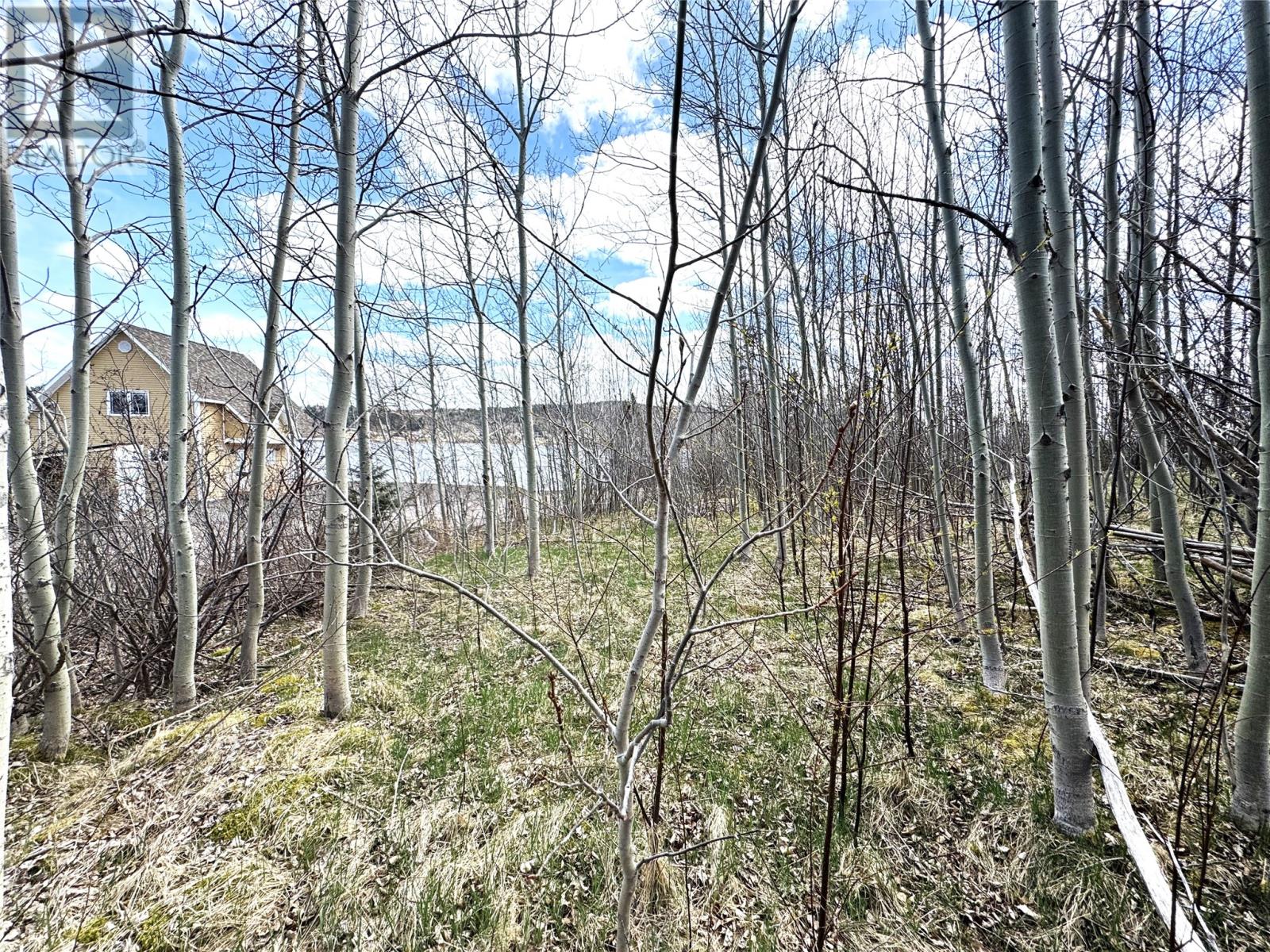 384 Main Road, Norris Arm North, Newfoundland & Labrador  A0G 3M0 - Photo 6 - 1291054