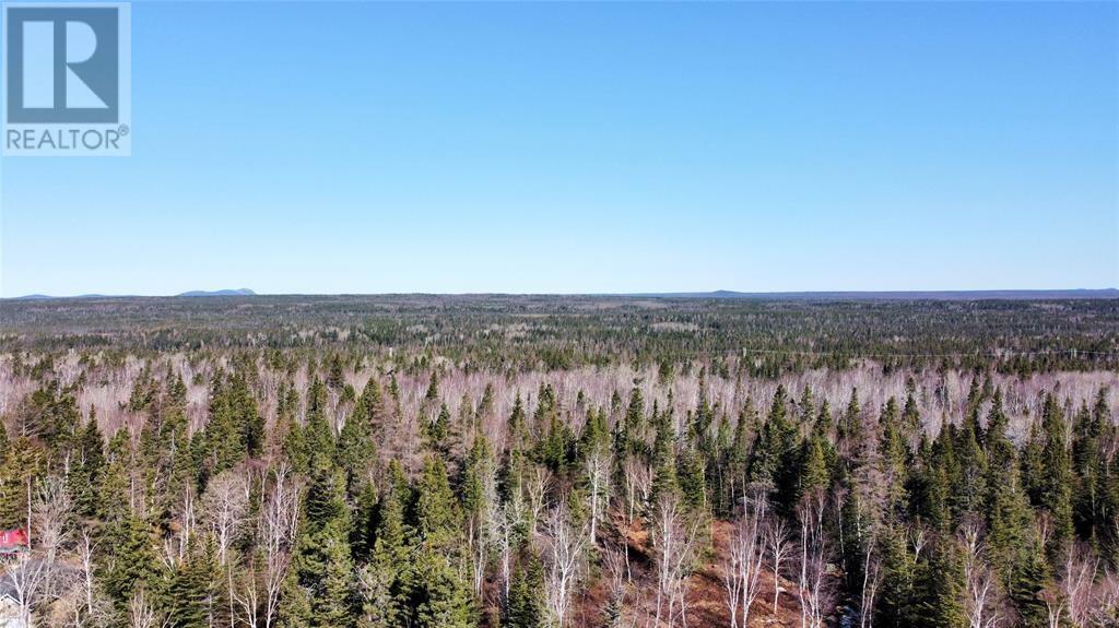 409 A Grenfell Heights, Grand Falls-Windsor, Newfoundland & Labrador  A2A 2J2 - Photo 2 - 1275984