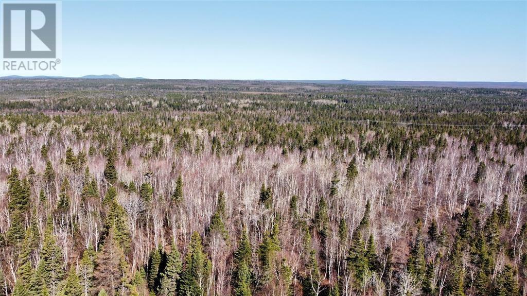 409 A Grenfell Heights, Grand Falls-Windsor, Newfoundland & Labrador  A2A 2J2 - Photo 3 - 1275984
