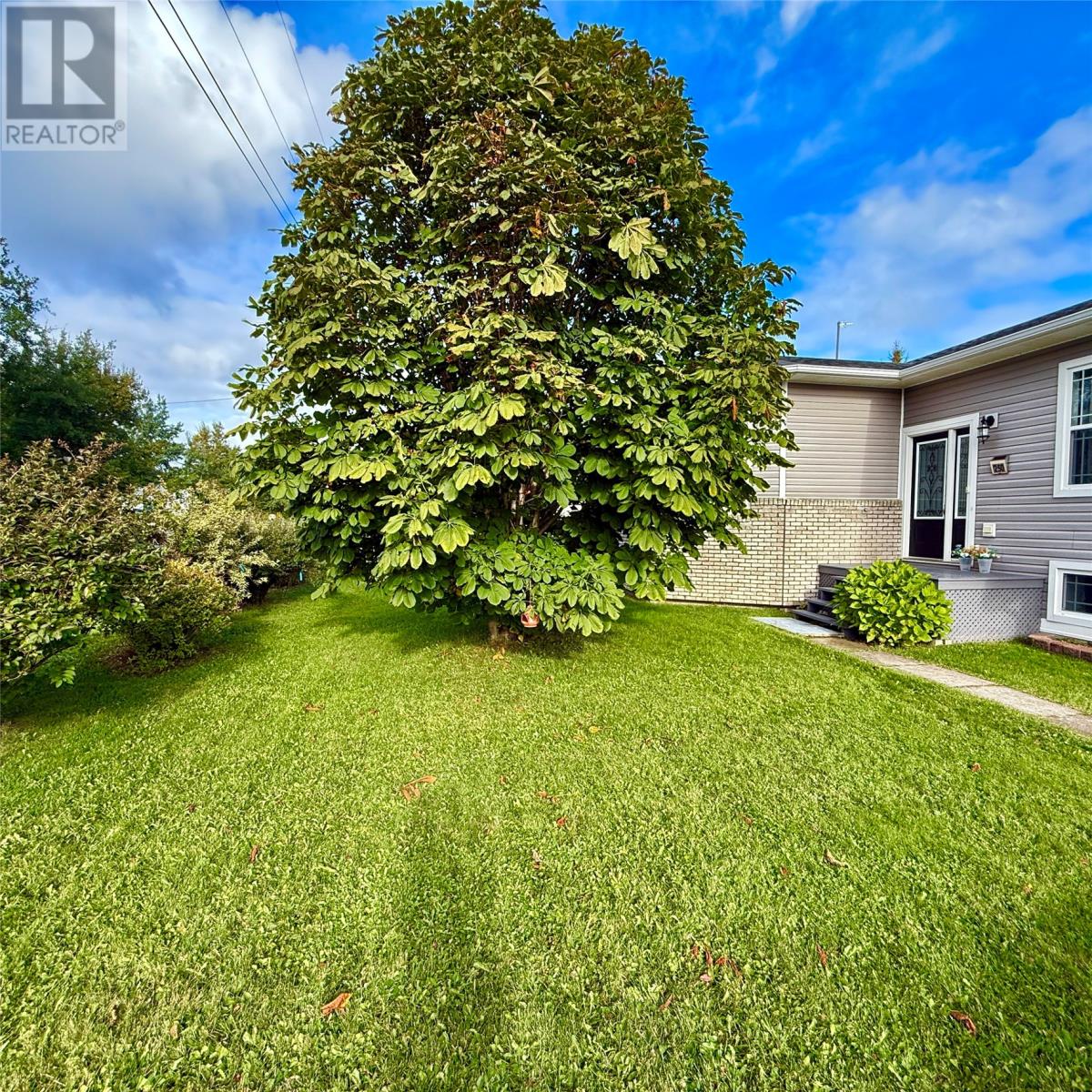250 Main Street, Embree, Newfoundland & Labrador  A0G 2A0 - Photo 40 - 1291093