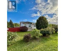 250 Main Street, Embree, Newfoundland & Labrador
