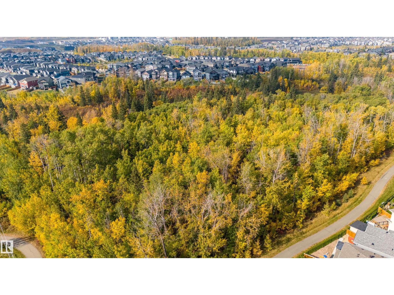 20019 29 Av Nw, Edmonton, Alberta  T6M 0W8 - Photo 67 - E4460370